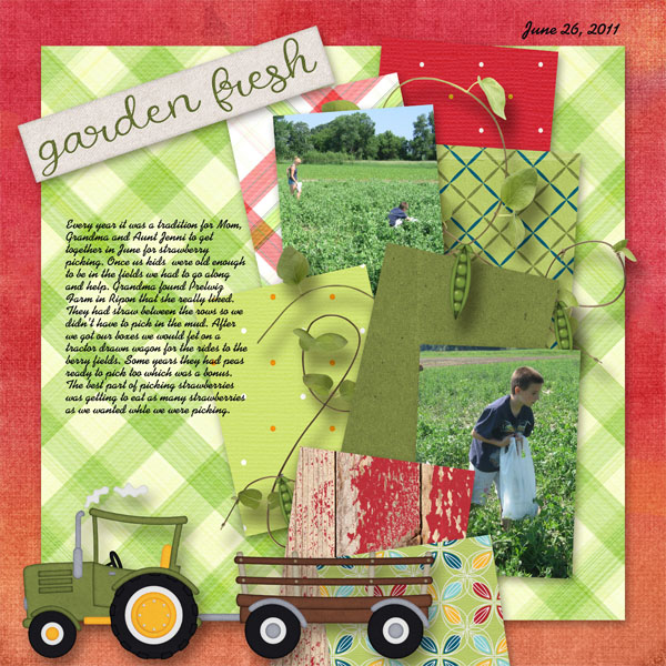 Strawberry_Picking1