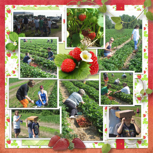 Strawberry_Picking_L