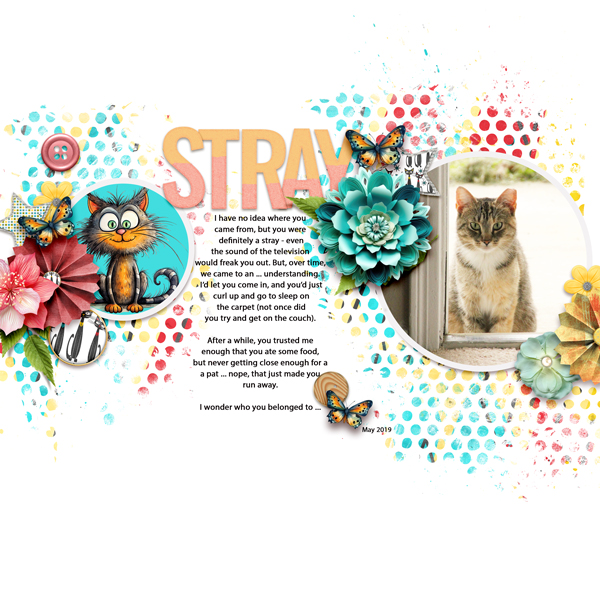 Stray