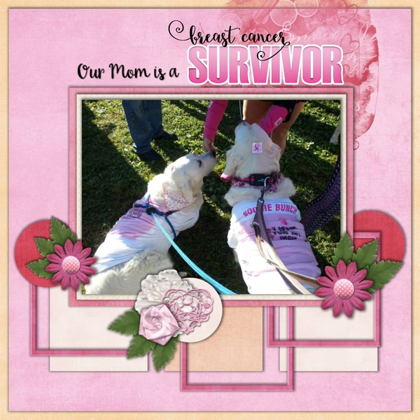 Strength Is Pink