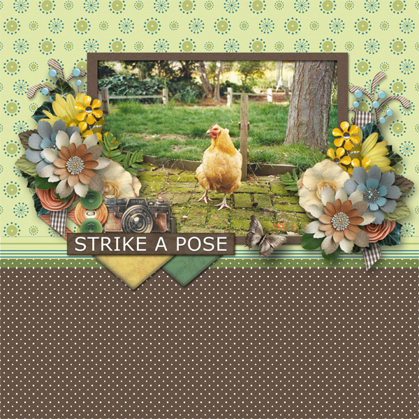 Strike a Pose