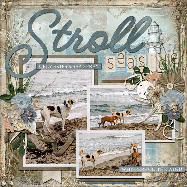 Stroll Seaside