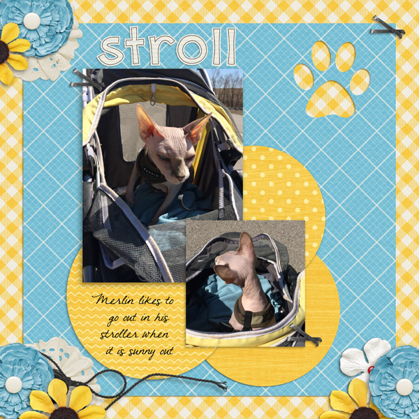 Stroll