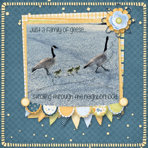 Strolling Geese