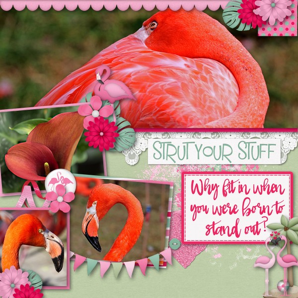 Strut Your Stuff
