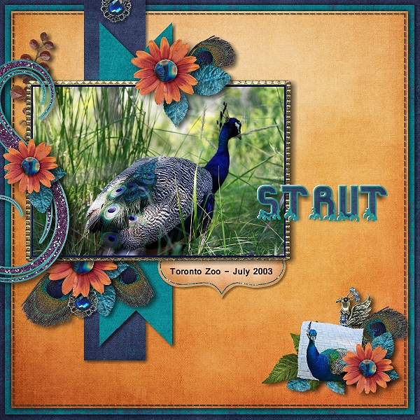 Strut