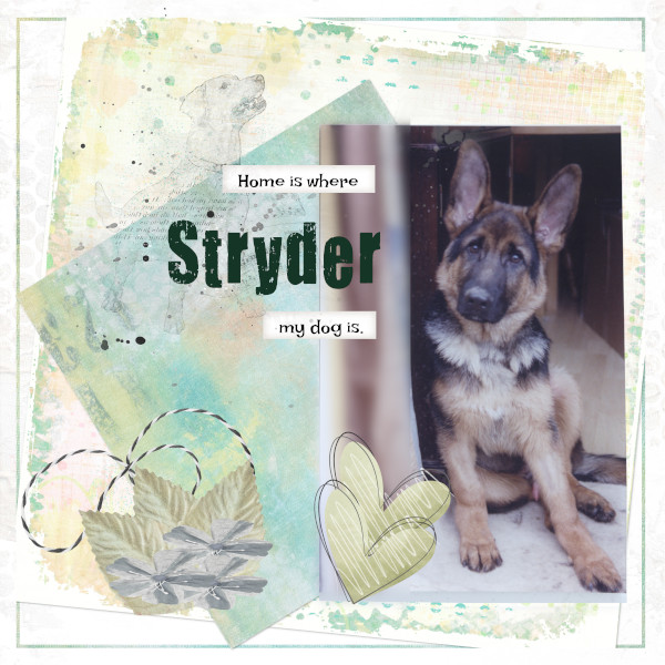 Stryder