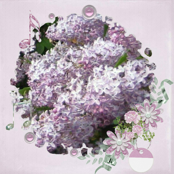 STS_LO2