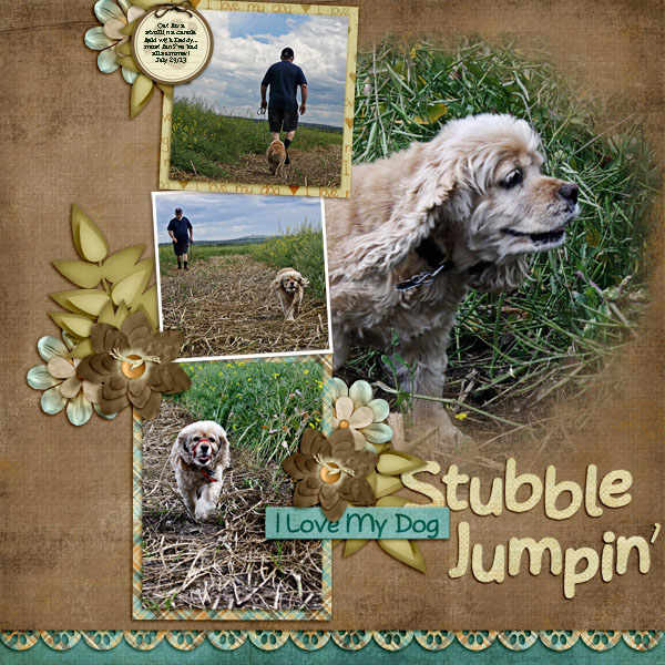 Stubble Jumpin'