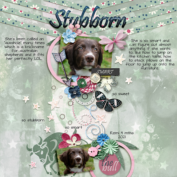 Stubborn