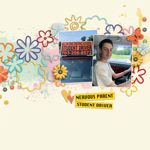 Student-Driver
