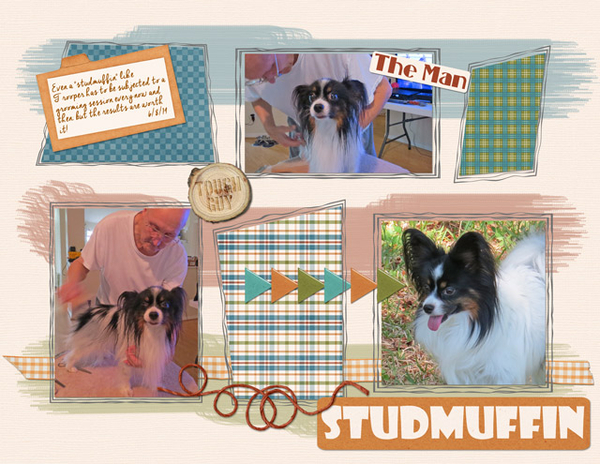 Studmuffin