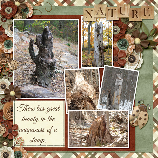 Stumps