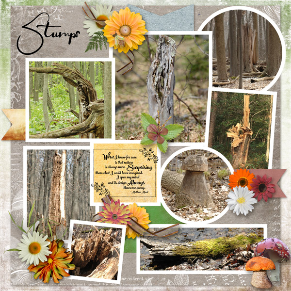 Stumps