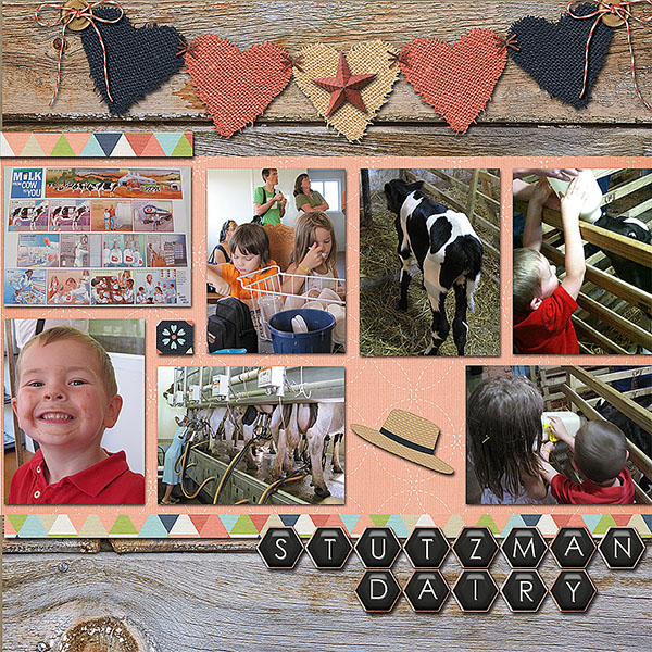 Stutzman Dairy 2 2010 R