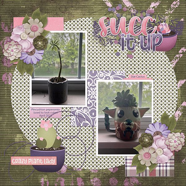 Succ It Up
