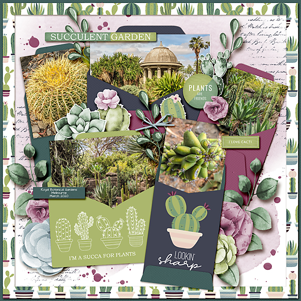 Succulent Garden