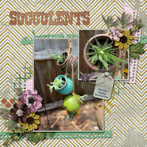 Succulents