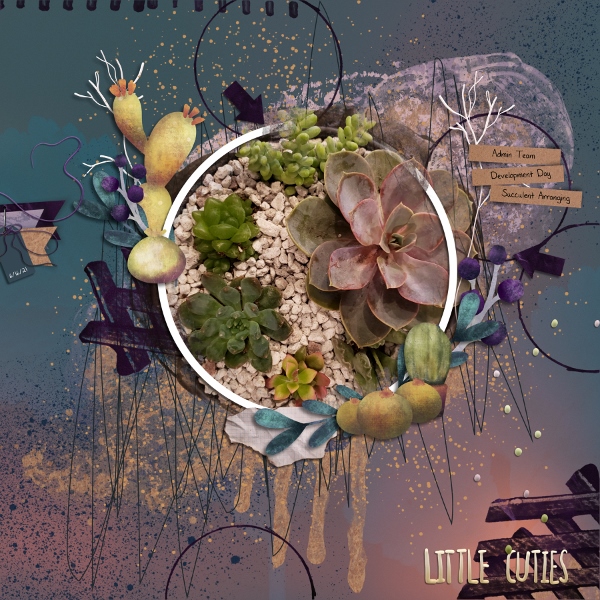 Succulents