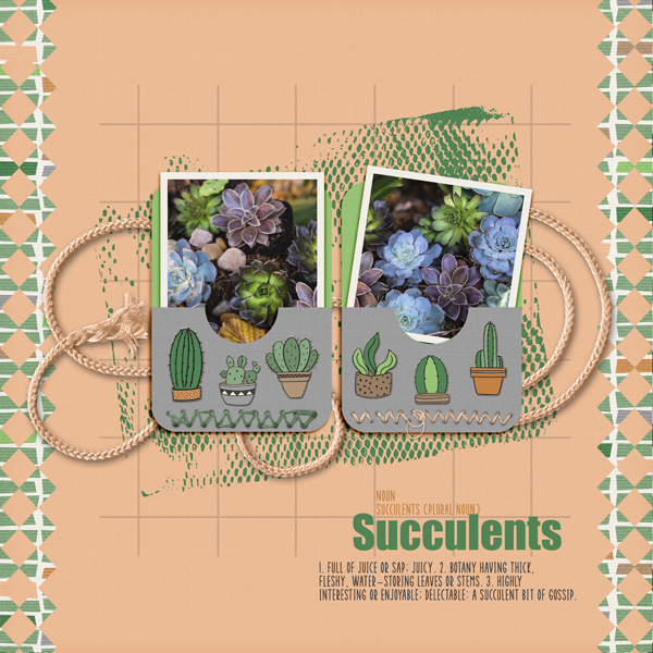 Succulents
