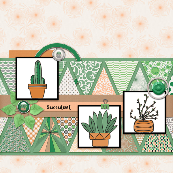 Succulents