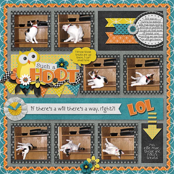 Such a Hoot!
