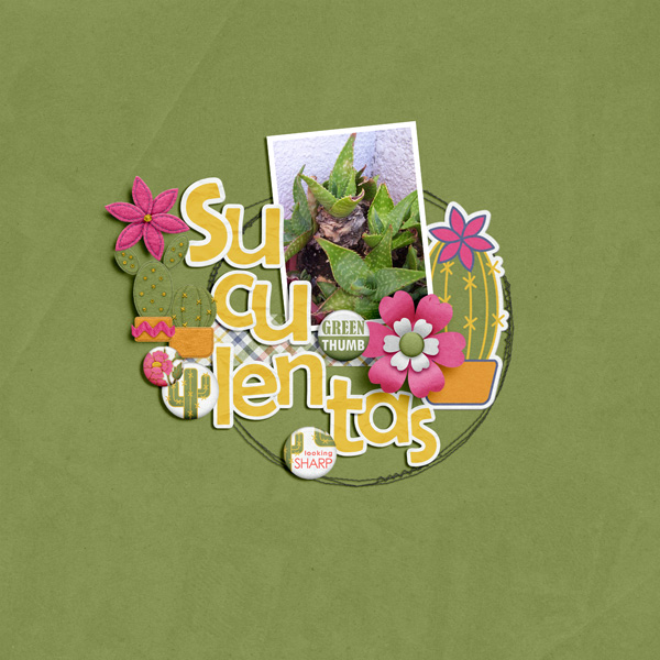 Suculentas