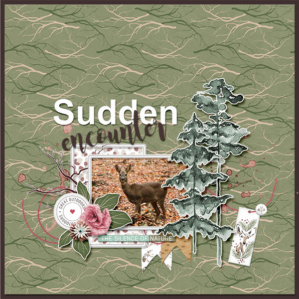 Sudden encounter