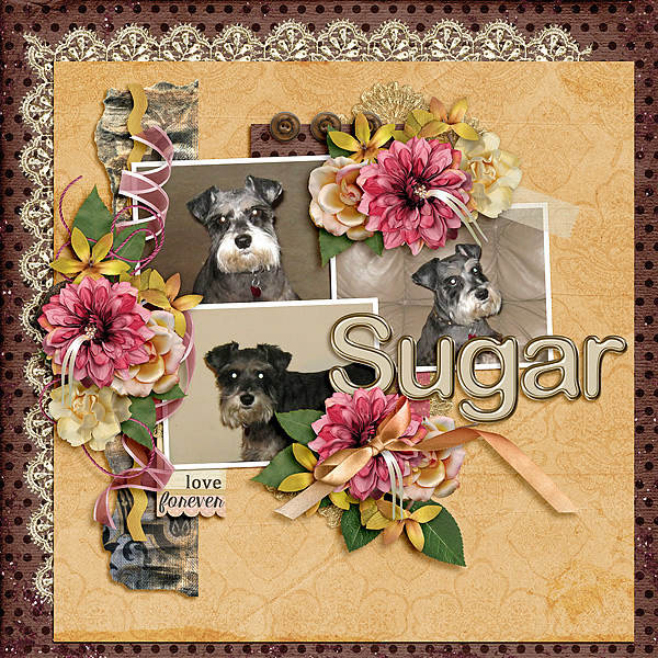 Sugar Love Forever