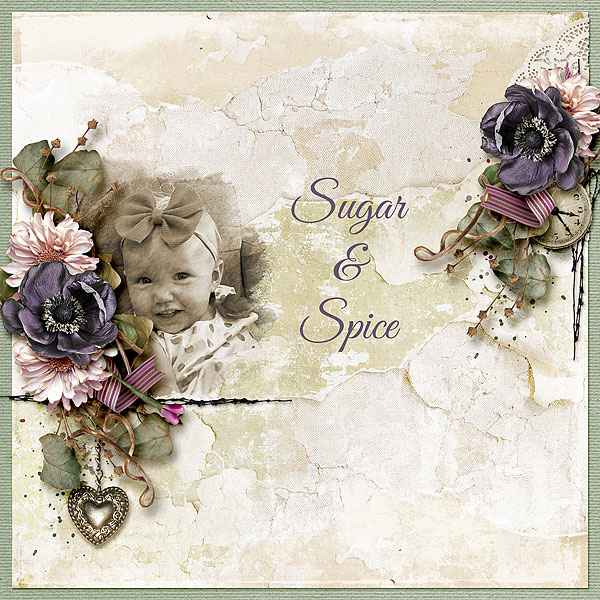 Sugar + Spice