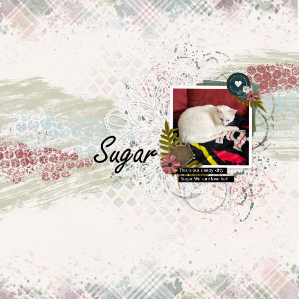 Sugar