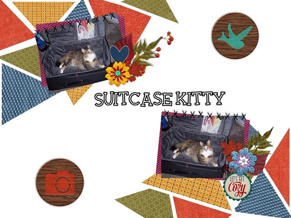 Suitcase Kitty - October 2016 Template 1 Challenge