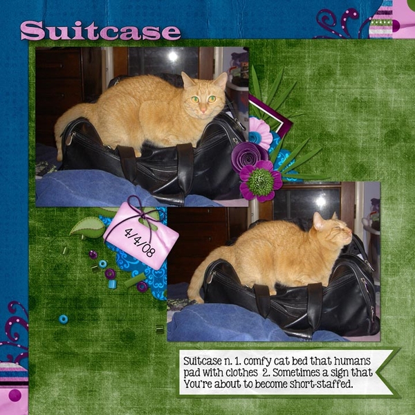 Suitcase