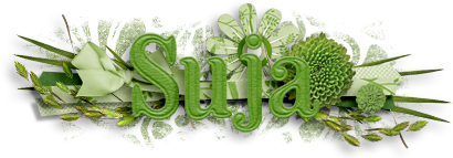 Suja Siggy 202103