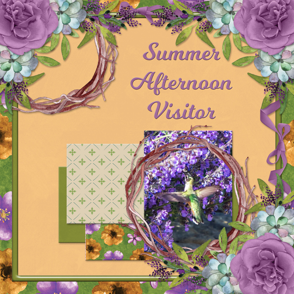 Summer Afternoon Visitor