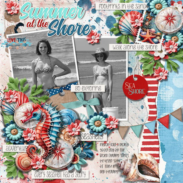 Summer At The Shore