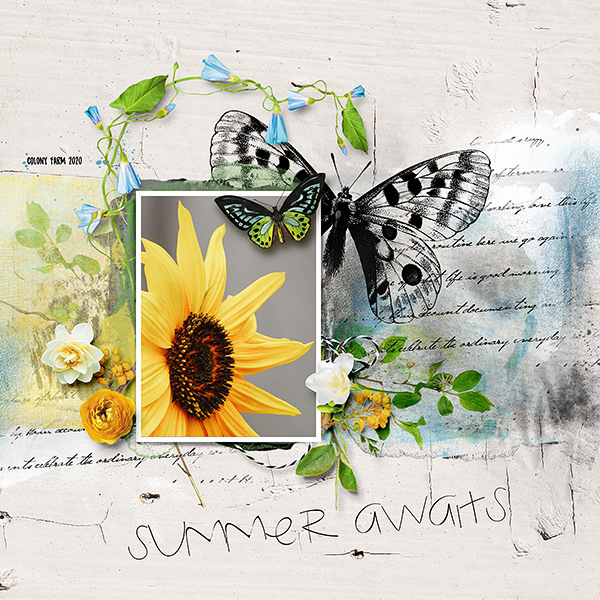 Summer Awaits