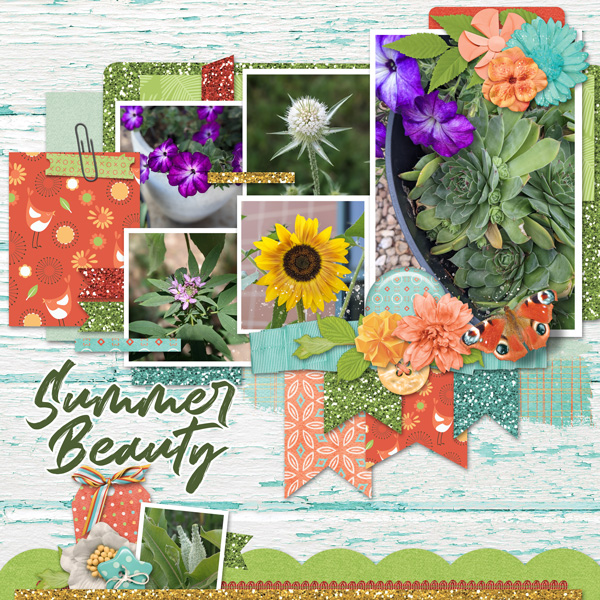 Summer Beauty