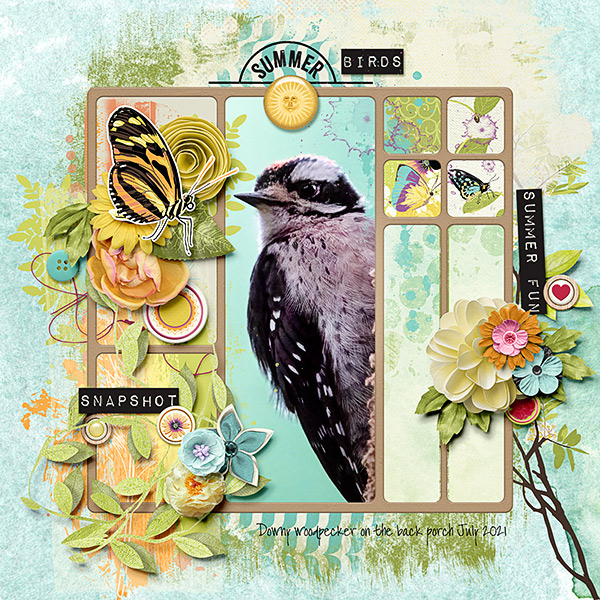 Summer Birds