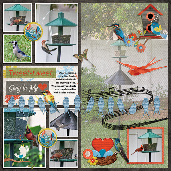 Summer birds