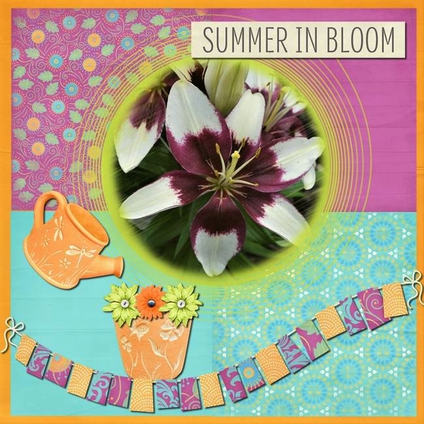Summer Bloom