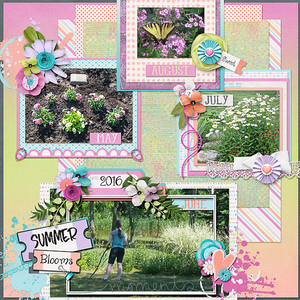 Summer Blooms, 2016