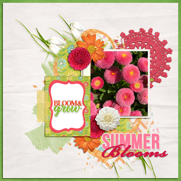 Summer Blooms