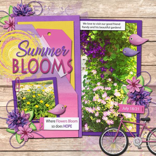 Summer Blooms