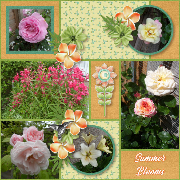 Summer Blooms