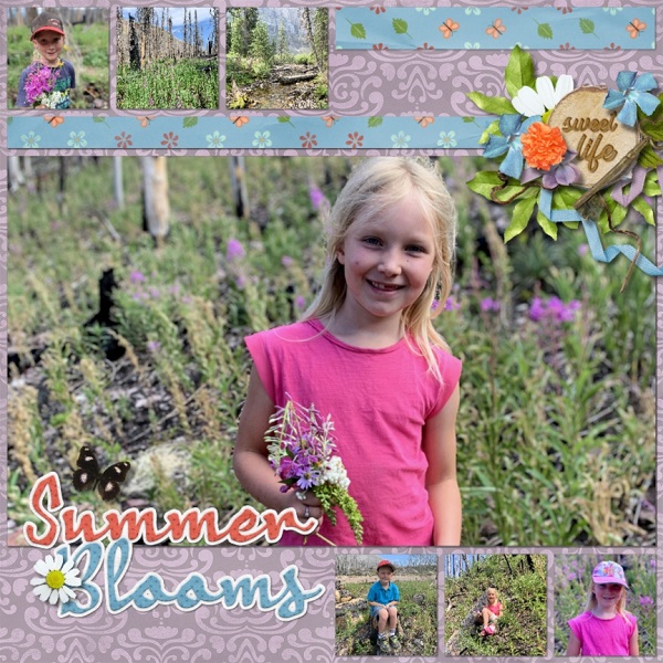 Summer Blooms