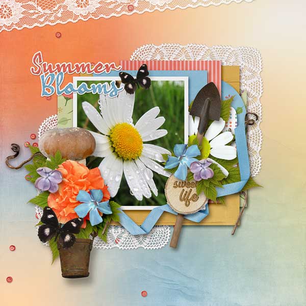 Summer Blooms