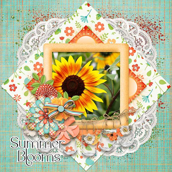 Summer Blooms