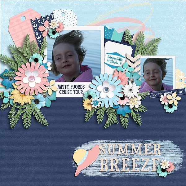 Summer Breeze