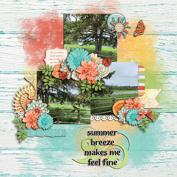 Summer Breeze